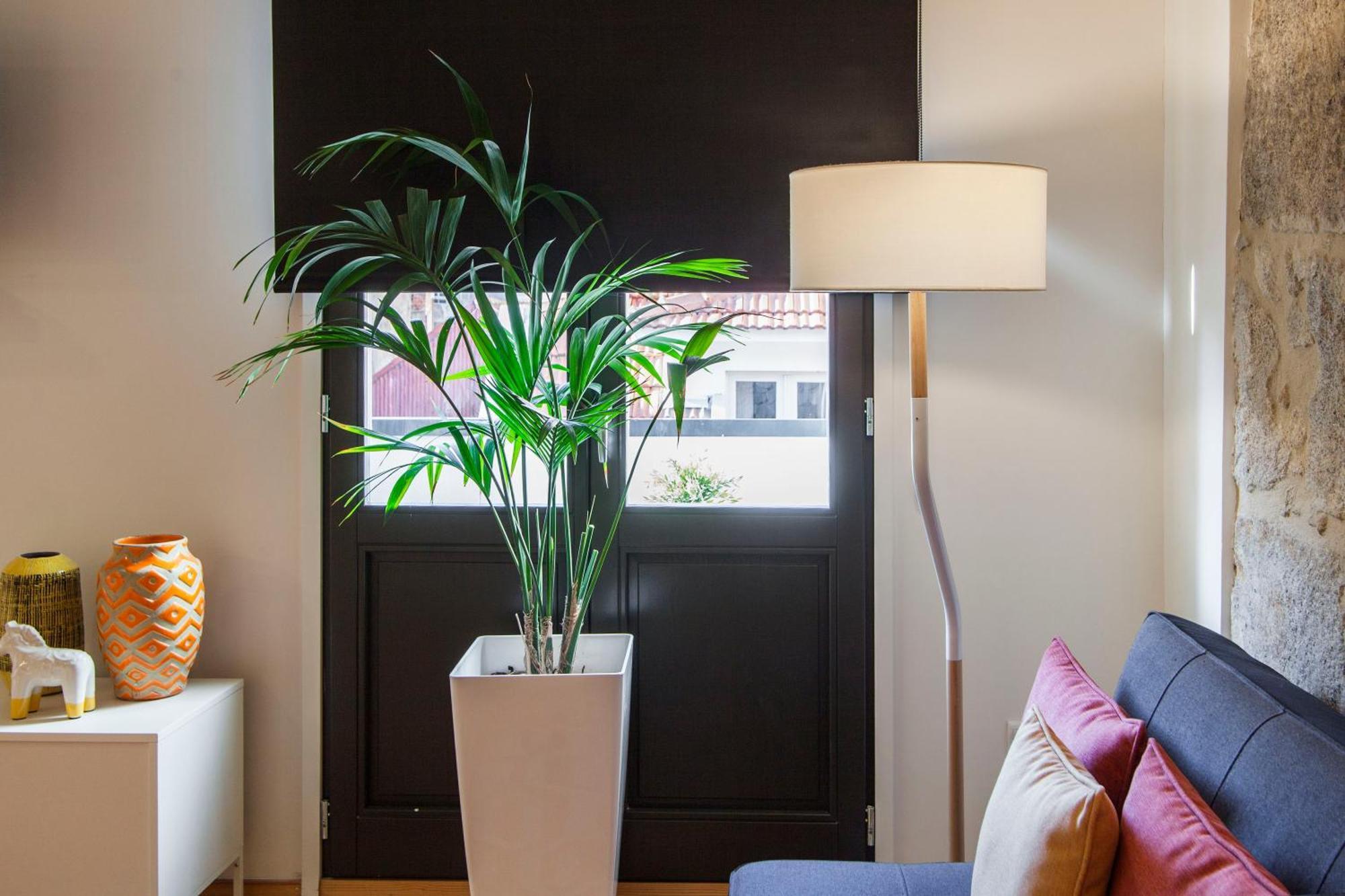Apartamento Local